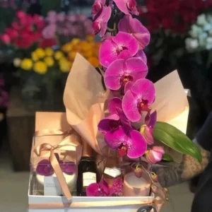 Box Orquídea
