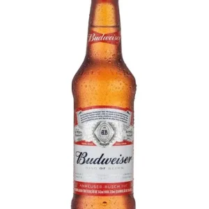 Cerveja Budweiser 330ml