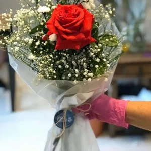 Rosa para presente