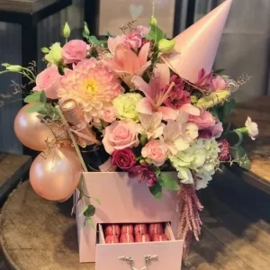 Box Bday