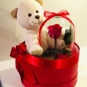 Box com Rosa Encantada e Pelúcia